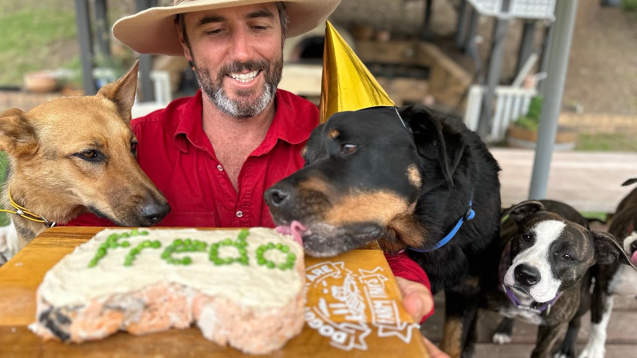 Happy Birthday Freddo!