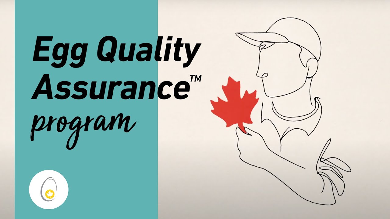 EQA®: The mark of quality eggs
