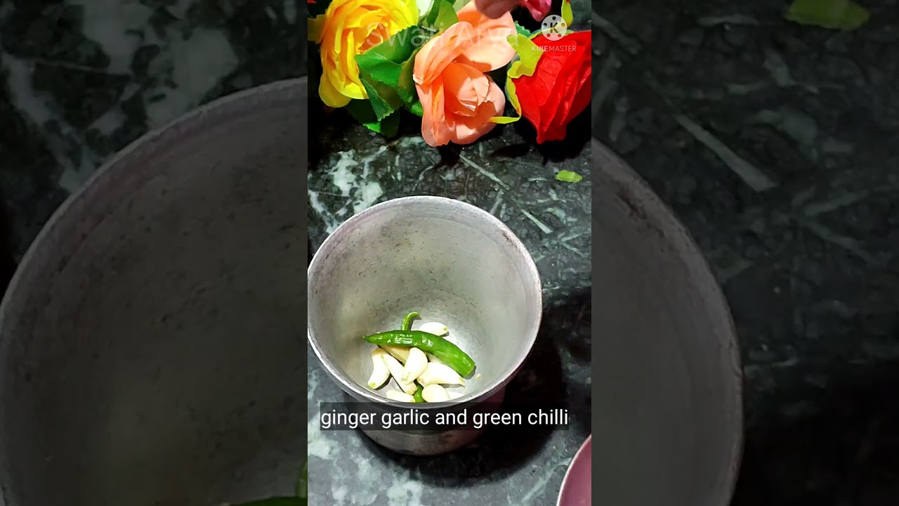 Palak Paratha recipe 