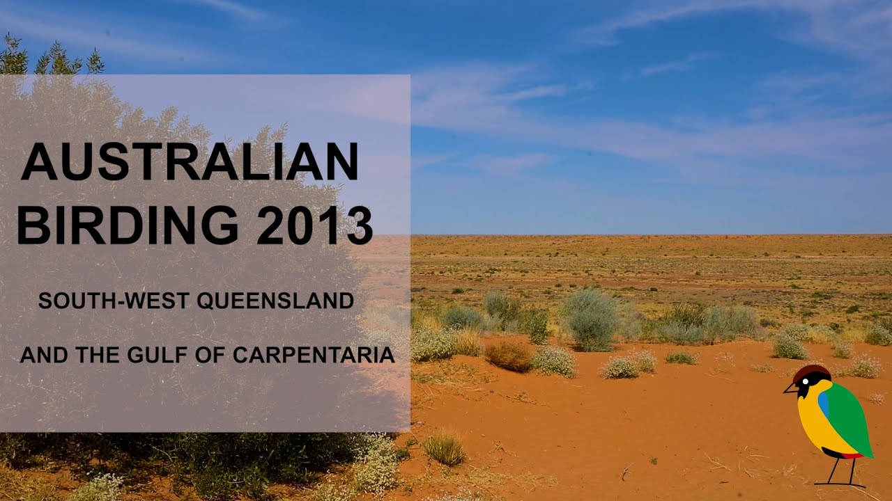 Australian Birds. Birding in South West Queensland / Queensland Gulf 2013. Australian Bird Media