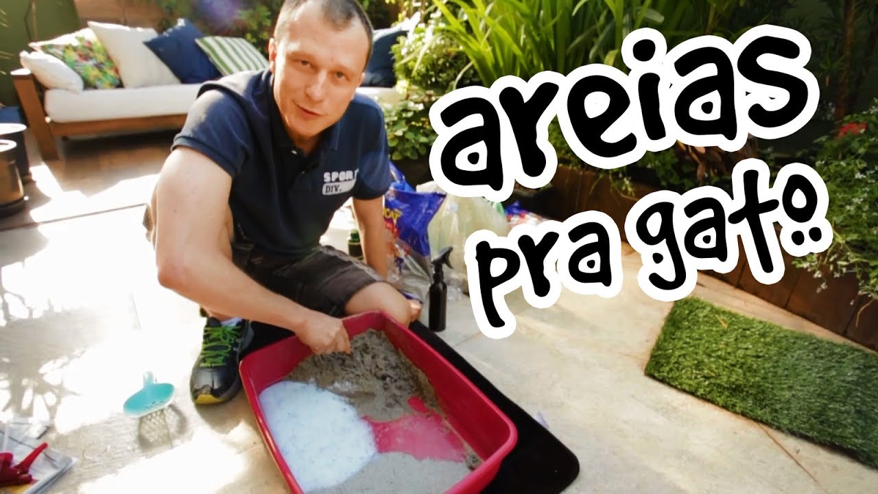 Areia de construção pra gatos?