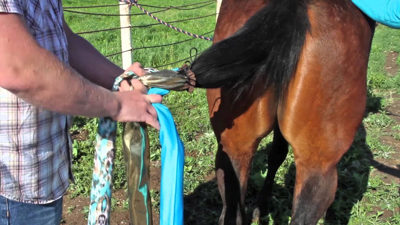 How to Put in a Braided Horse Tail Bag