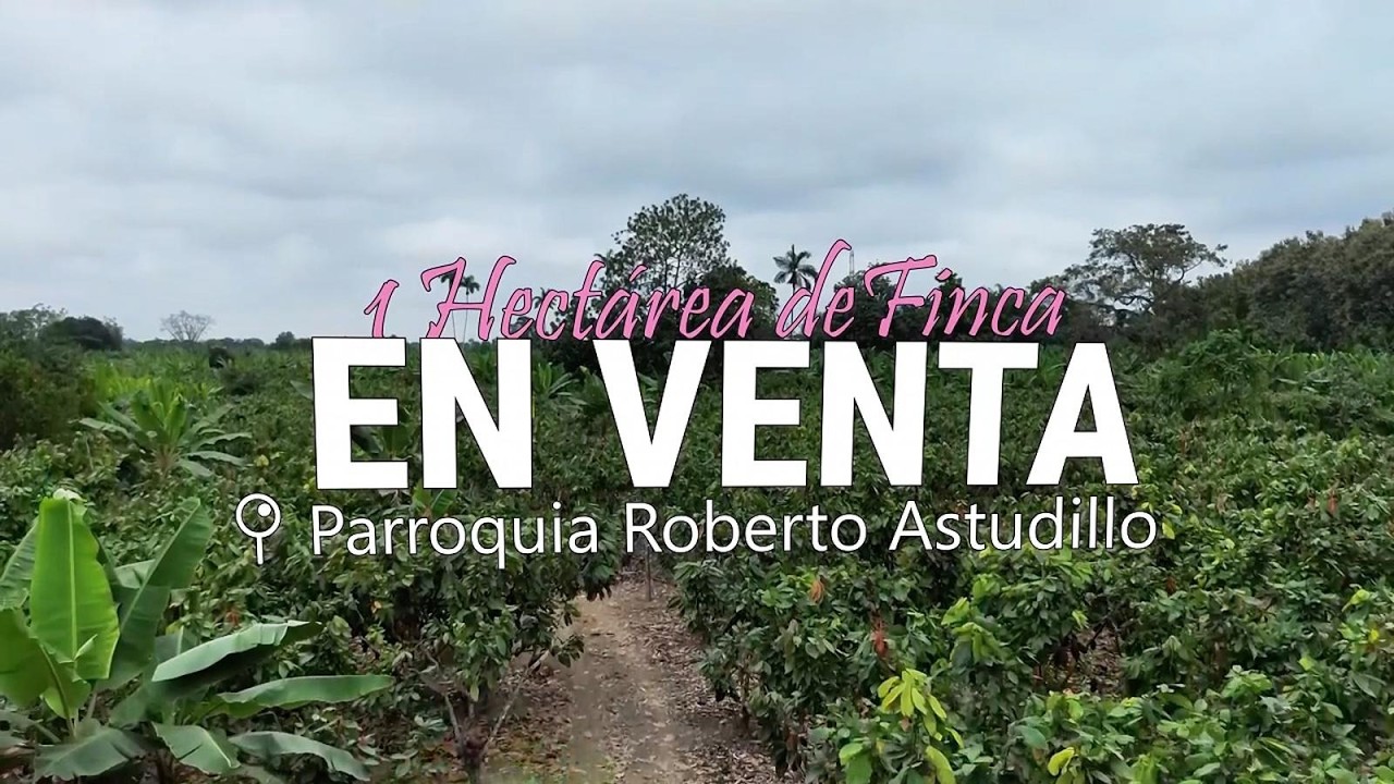 Finca de 1.1 Hectáreas en Venta - Parroquia Roberto Astudillo, Milagro, Ecuador