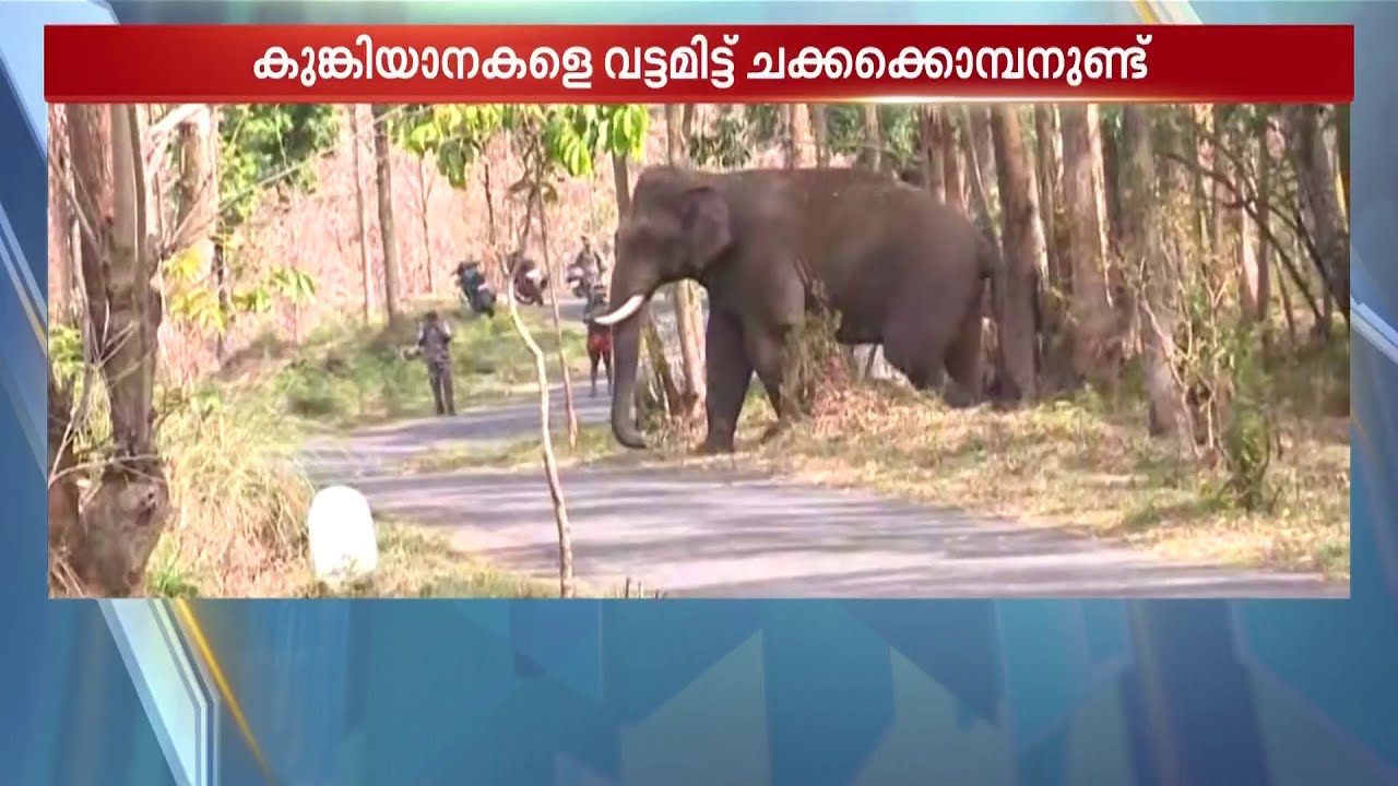 കൂട്ടുകാരനെ പൂട്ടുമെന്ന് അറിഞ്ഞിട്ടോ? കുങ്കിയാന വിക്രമിനെ വട്ടമിട്ട് ചക്കക്കൊമ്പന്‍ |  Arikkomban