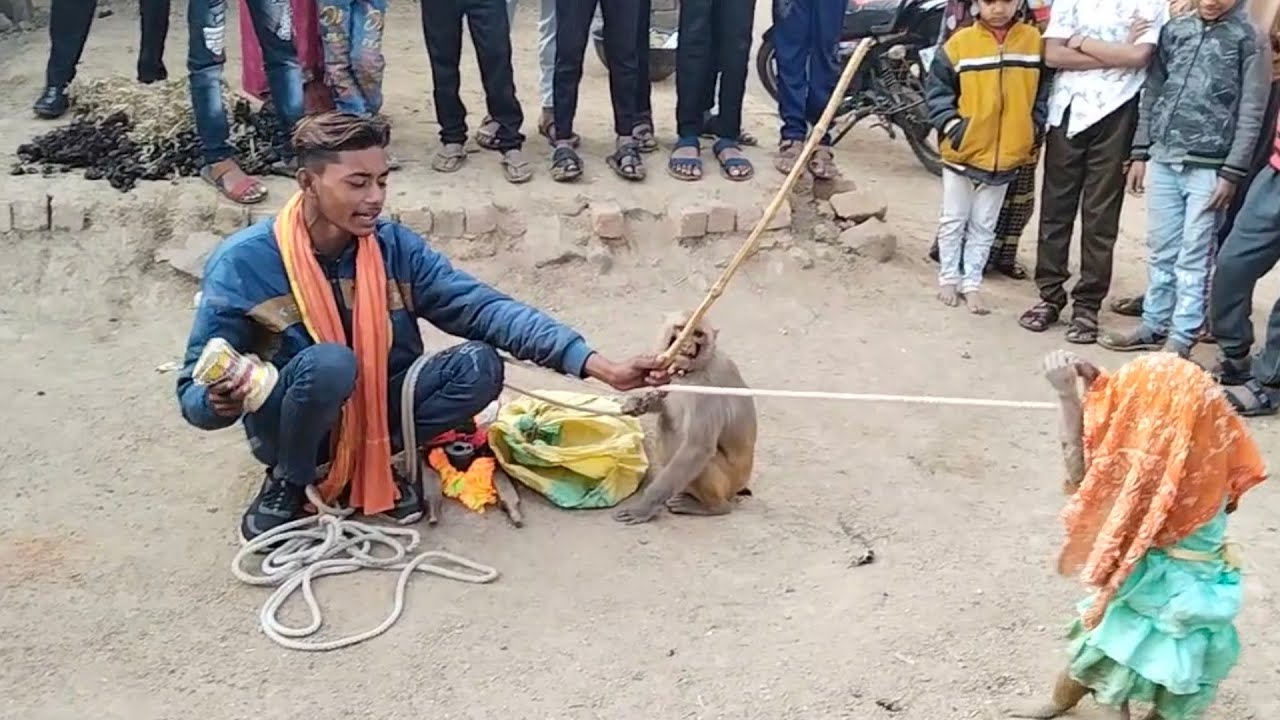 बसंती ने किया नागिन डांस