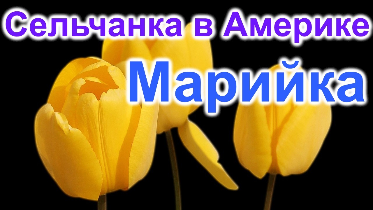 Сельчанка в Америке. Марийка