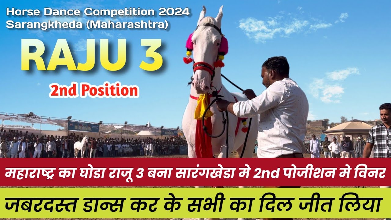 महाराष्ट्र अमरावती का राजू -3 घोडा बना सारंगखेडा मे विनर । Horse Dance Competition Sarangkheda 2024