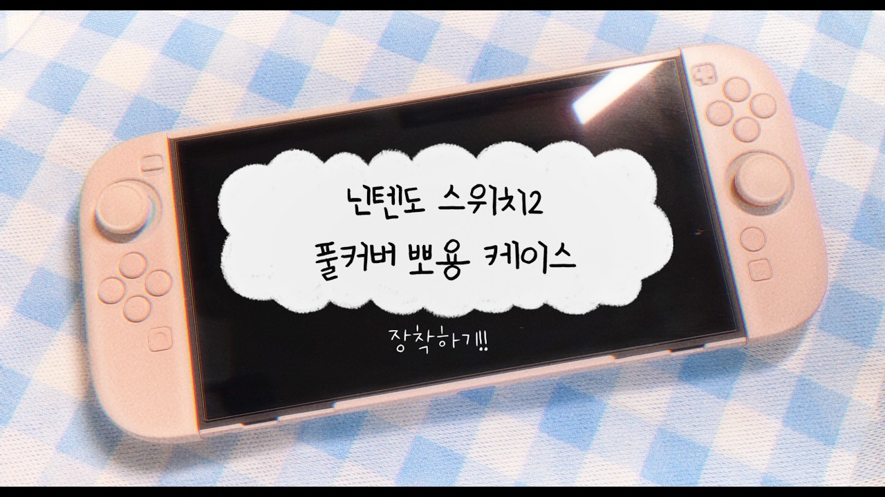Nintendo Switch2 새옷입히기
