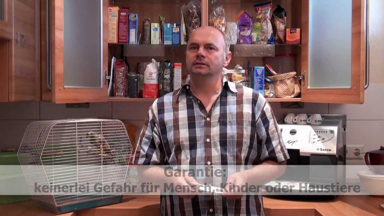 Bek&auml;mpfung von Motten mit N&uuml;tzlingen (Trichogramma)