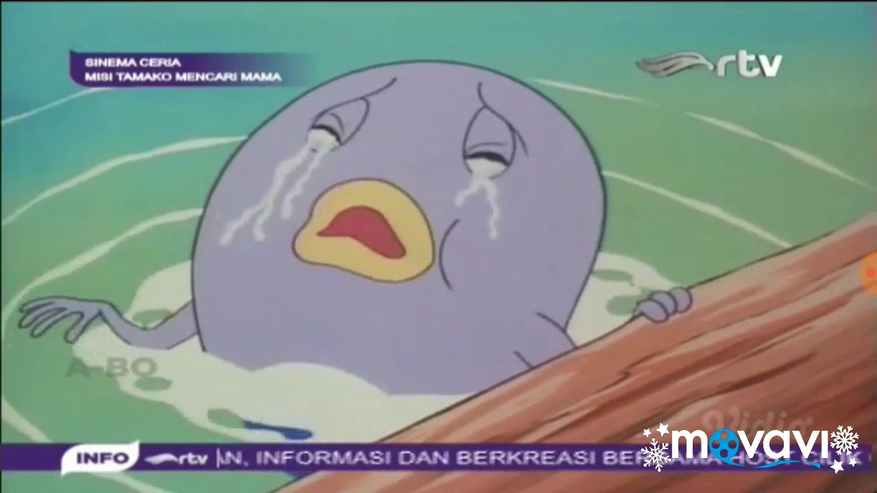 Petualangan Hachi si Lebah Madu - Perokici si Kecebong