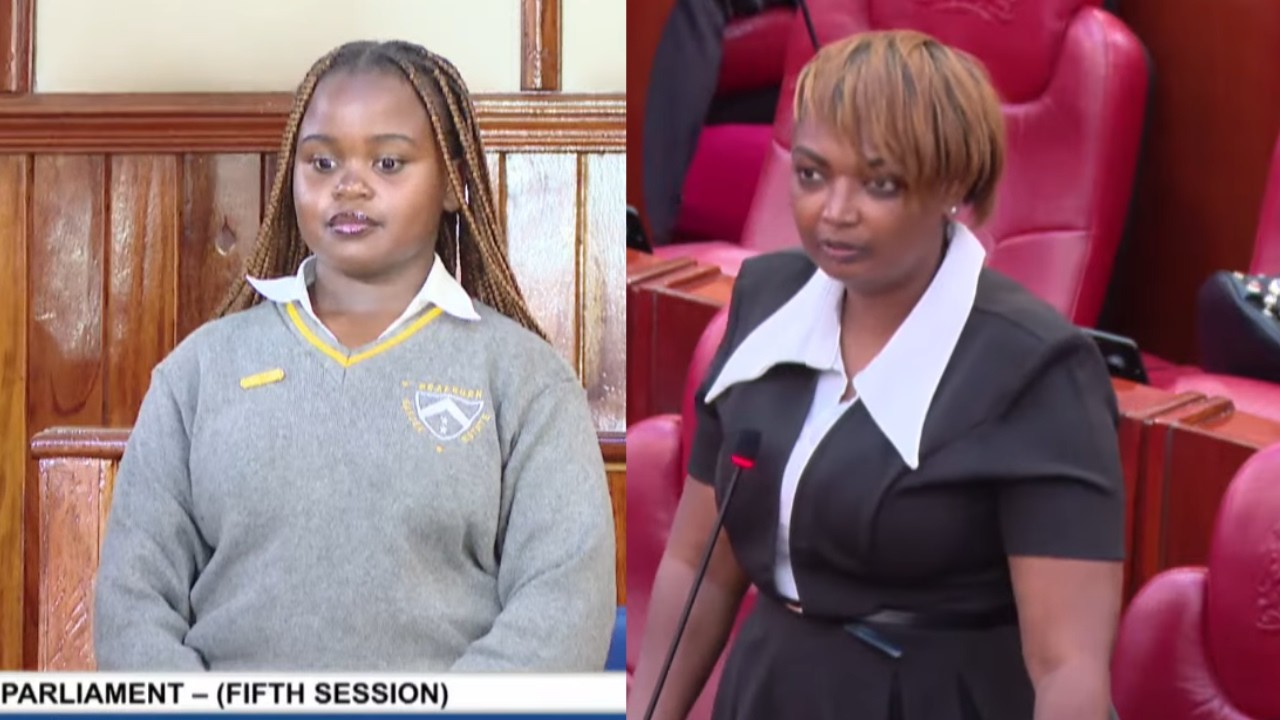 Karen Nyamu's controversial remarks directed at a Grade 10 student in Senate put her in trouble