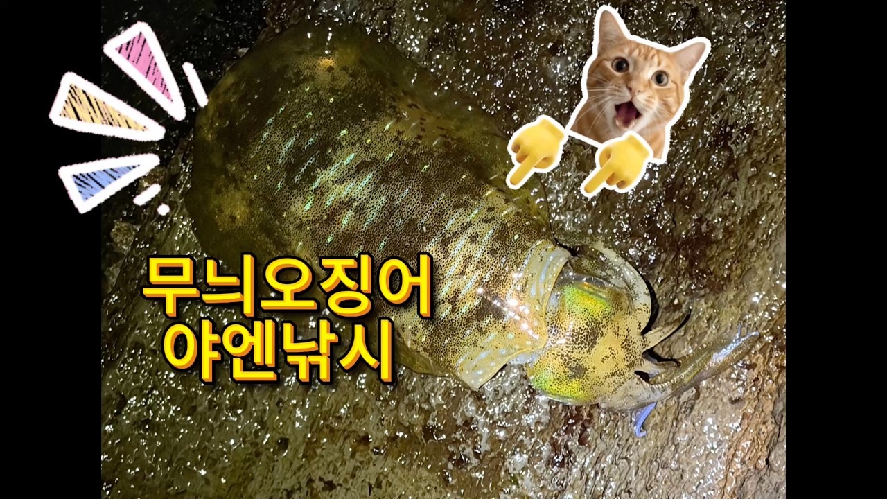 20260305 제주 서귀포 무늬오징어 야엔낚시