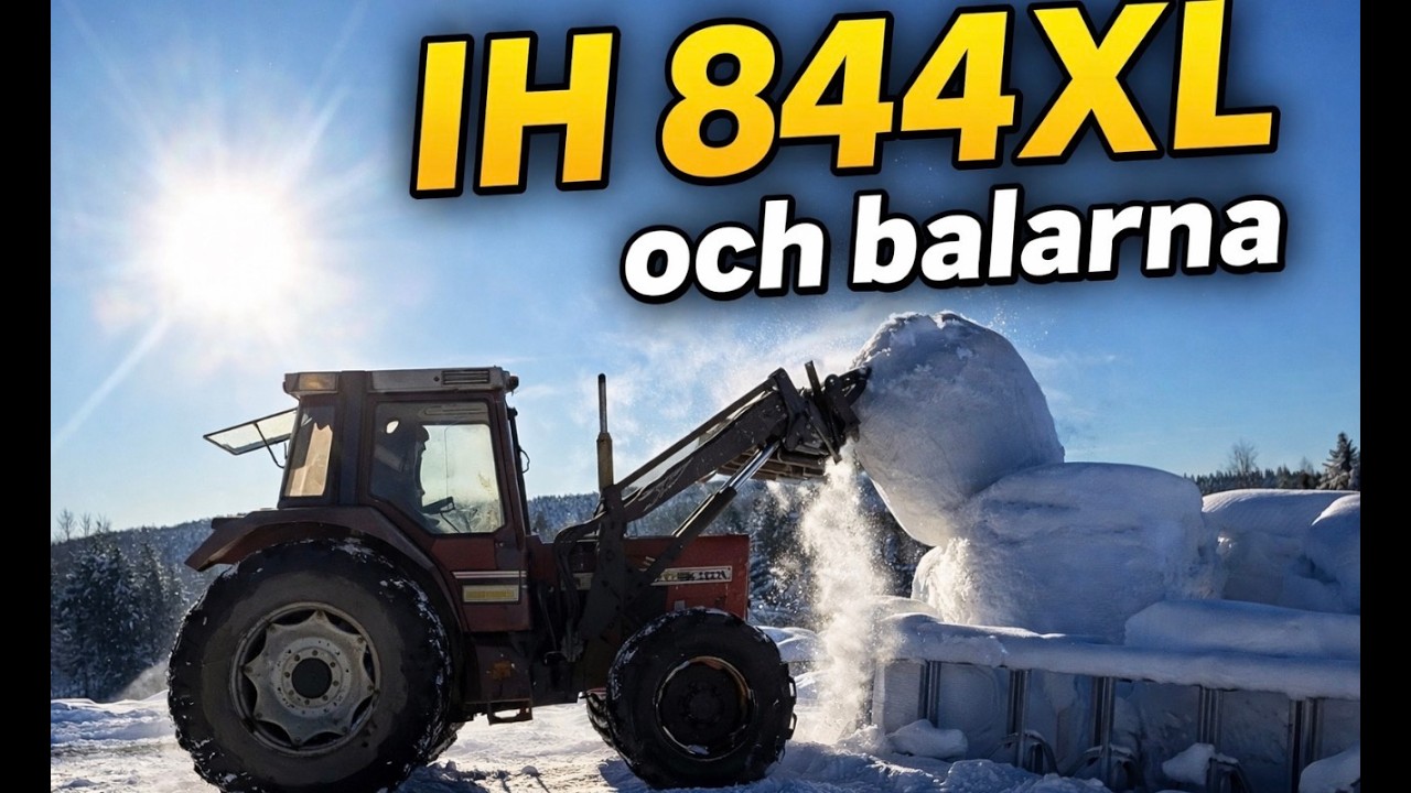 IH844XL I LADUGÅRDEN