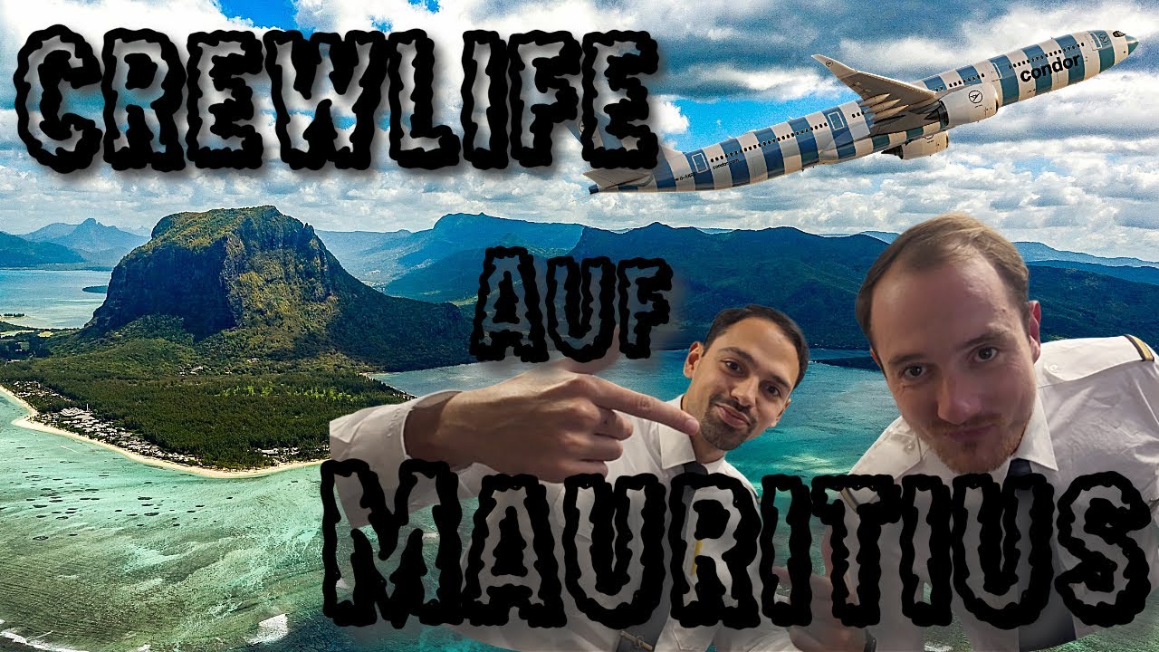 Schwimmen mit Pottwalen auf Mauritius – Crew Vlog