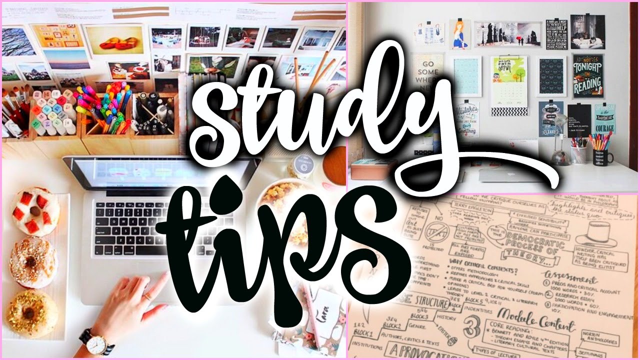 Study Tips You NEED To Know! | 2016 Exam Revision!