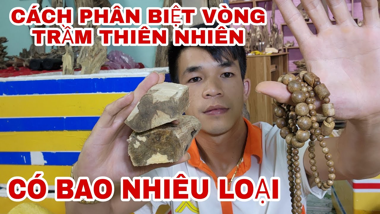 cách phân biệt các loại vòng trầm hương thiên nhiên, trầm tốc kiến, tốc rể, tốc sùng, trầm chìm