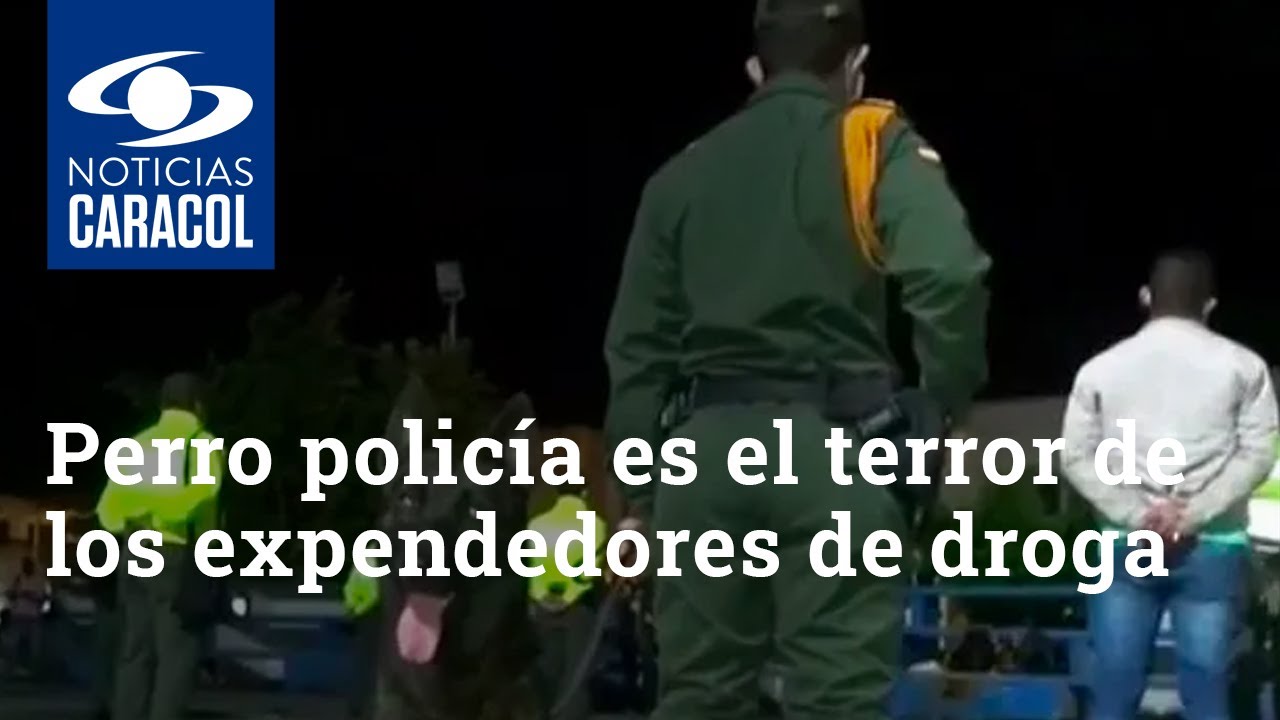 Un perro policía es el terror de los expendedores de droga en el Atlántico