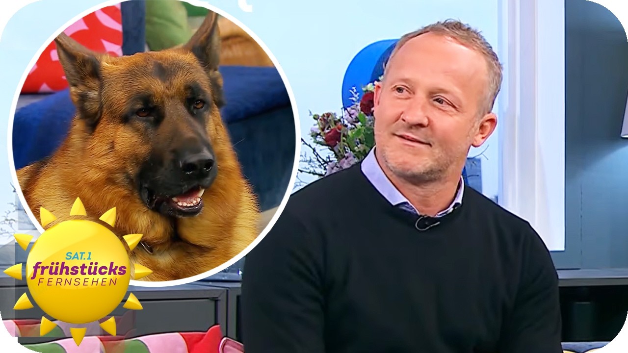 Kommissar Rex ist zur&uuml;ck! | SAT.1 Fr&uuml;hst&uuml;cksfernsehen