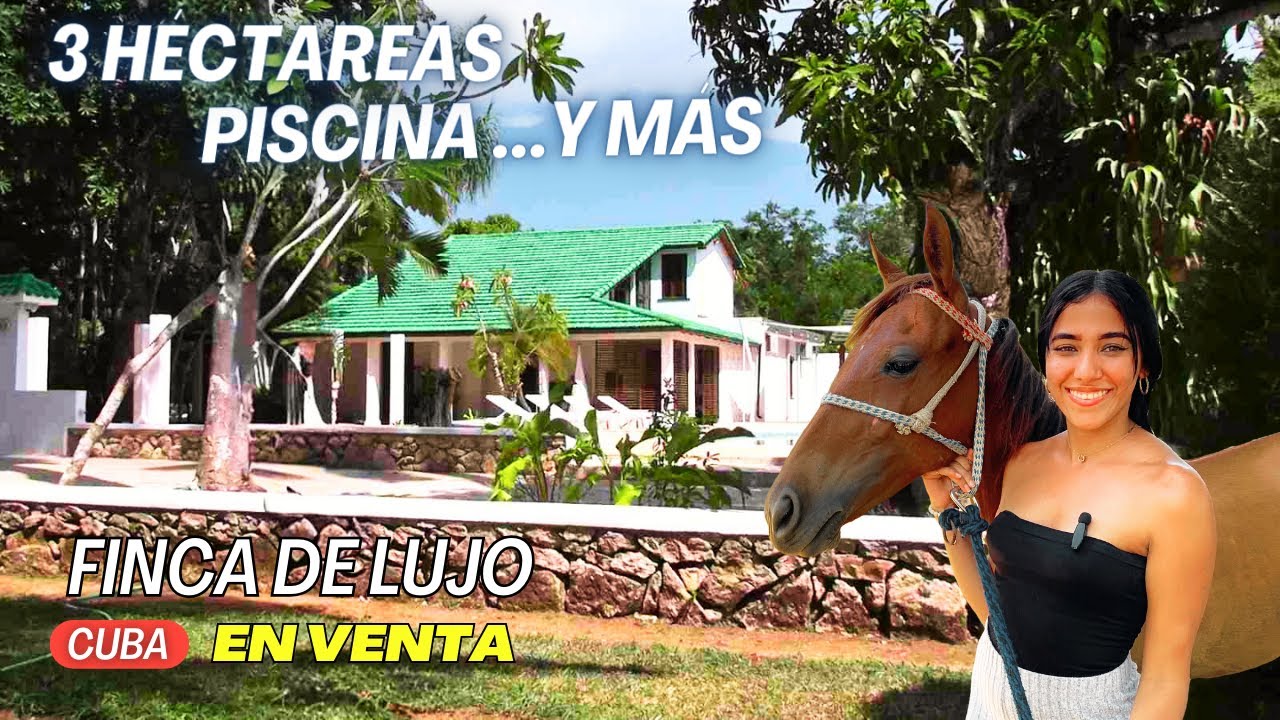 SE VENDE‼️ Exclusiva FINCA de lujo | 3 HÉCTAREAS | CASA con PISCINA y  RANCHóN | LA HABANA | Cuba