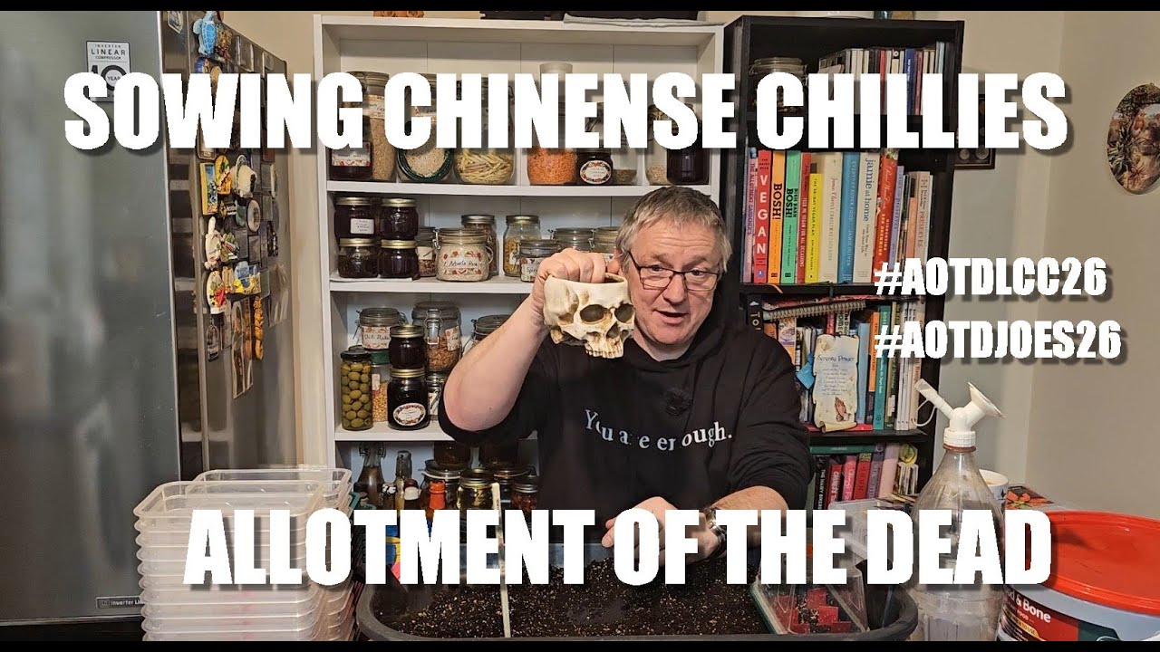 Посев перца чили сорта Chinense, 2026 год #AOTDLCC26 #AOTDJOES26