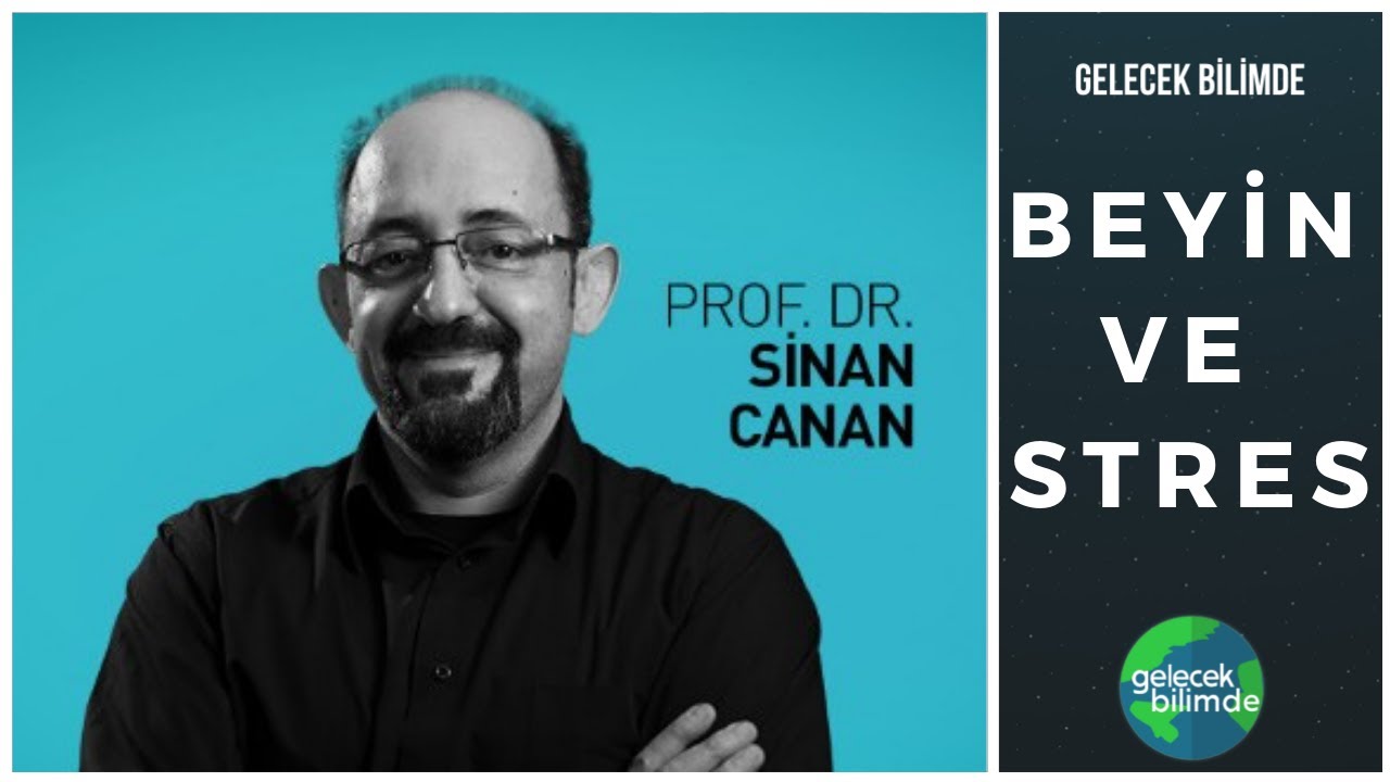 Prof. Sinan Canan | Beyin ve Stres