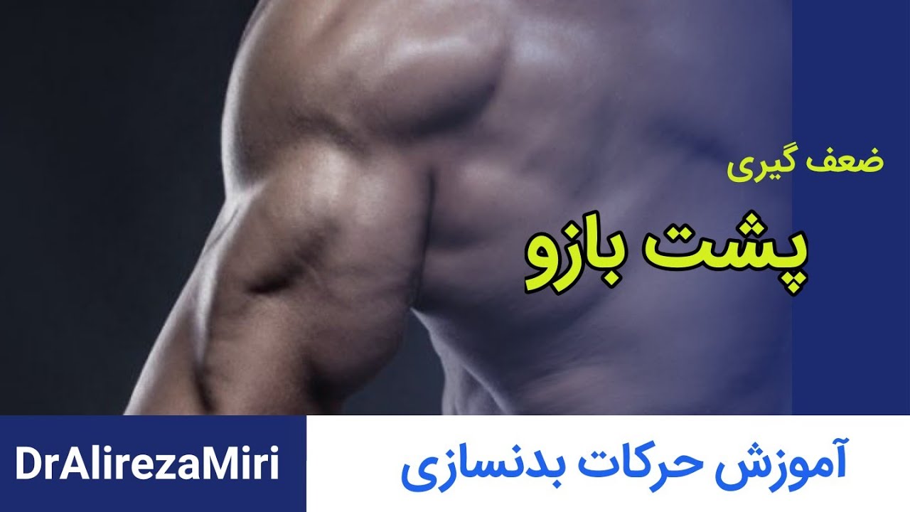 آموزش حرکات بدنسازی مربوط به عضله پشت بازو با دکتر علیرضا میری