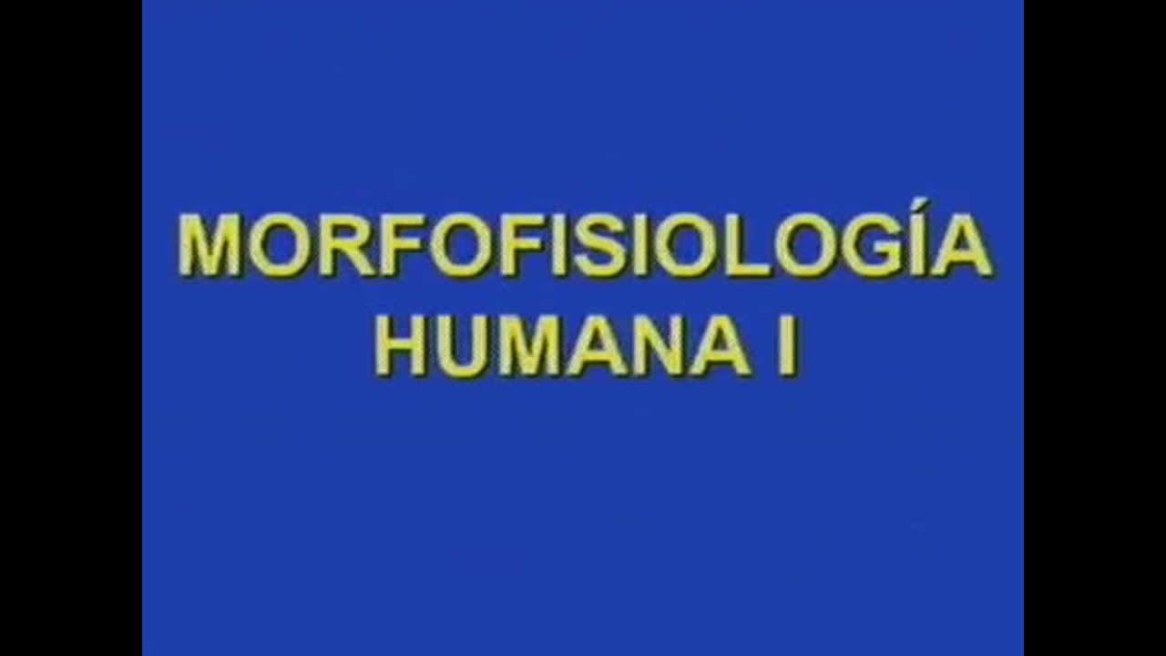 Morfofisiologia Humana I. Clase 1-4
