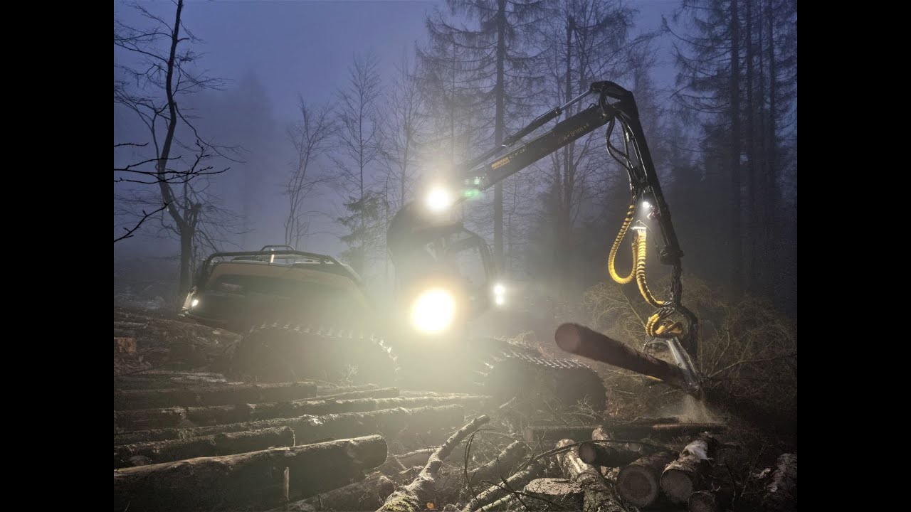 🌲*THE FOG*  • Ponsse Scorpion - H7 • Driver with skills | Big trees • KONETEKO PITKÄNEN OY • Part-1🌲