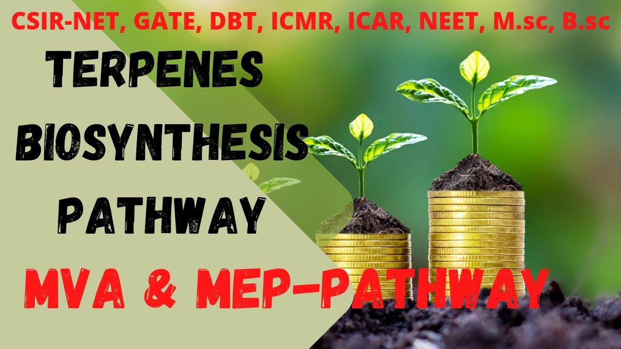 Terpenes || Terpenes Biosynthesis Pathway || Plant Secondry Metabolites|| #biologyachievers