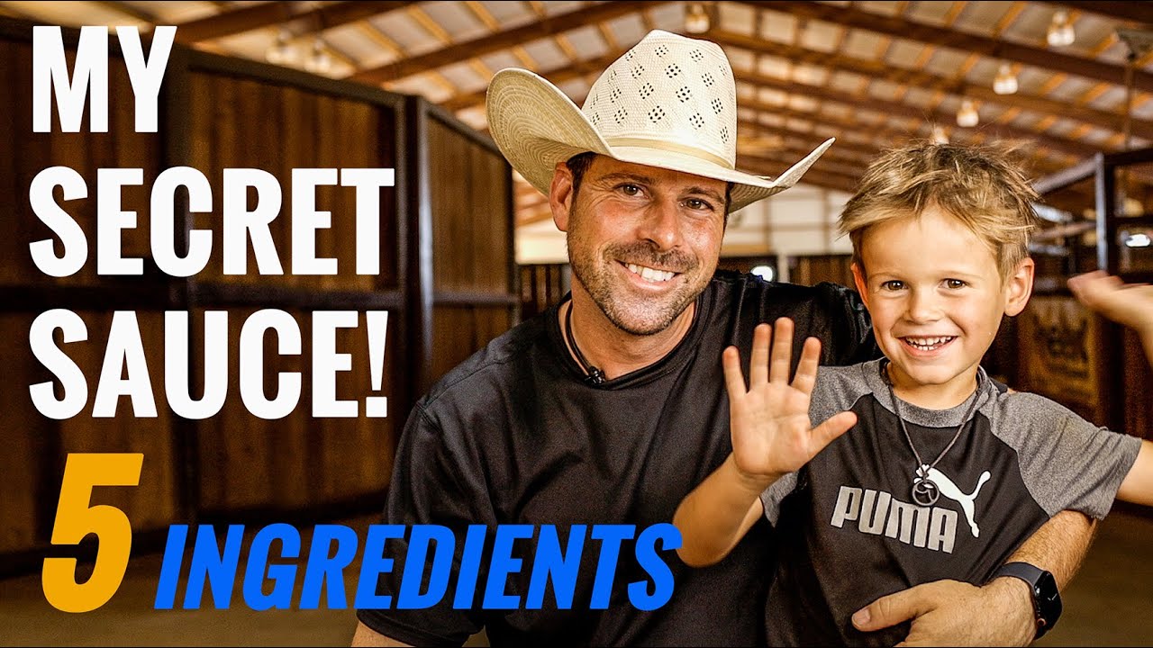 5 Things WELL TRAINED Horses Have In Common