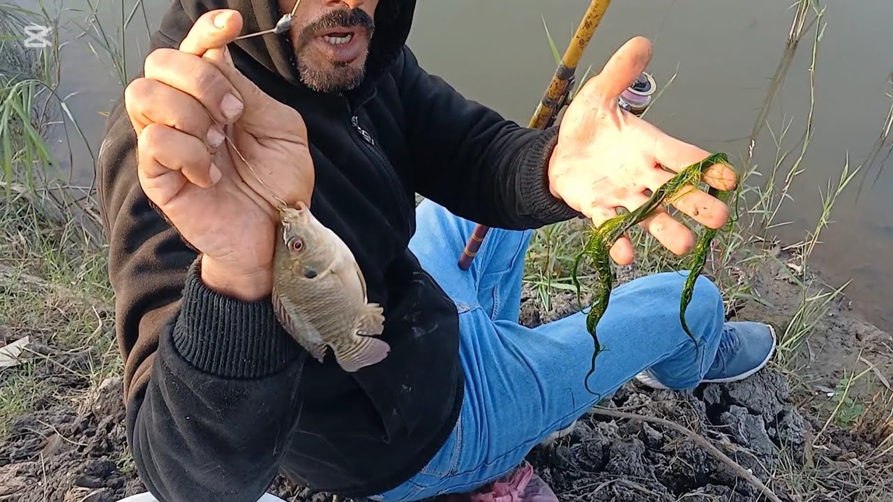 مكان جديد لصيد السمك وهجوم  أحجام خشنه بتاع الموسم 1/2/2025