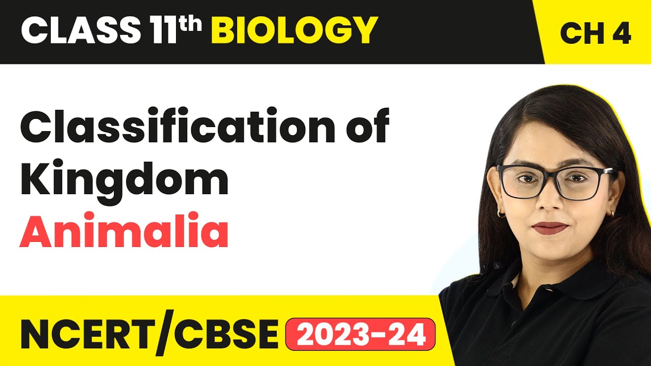 Classification of Kingdom Animalia - Animal Kingdom | Class 11 Biology Chapter 4 | NCERT/CBSE