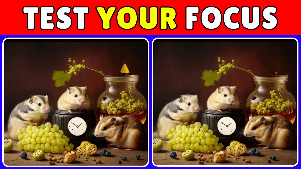 👀 Find 3 Differences | Can You Find Them in 5 Seconds? | Brain Puzzle FOCUSED 