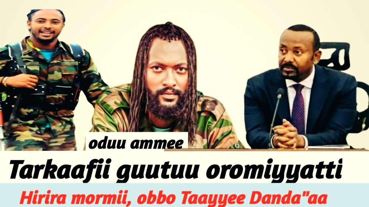 Tarkaanfii guutuu oromiaatti, hirira mormii Tigraayitti, obbo Taayyee danda