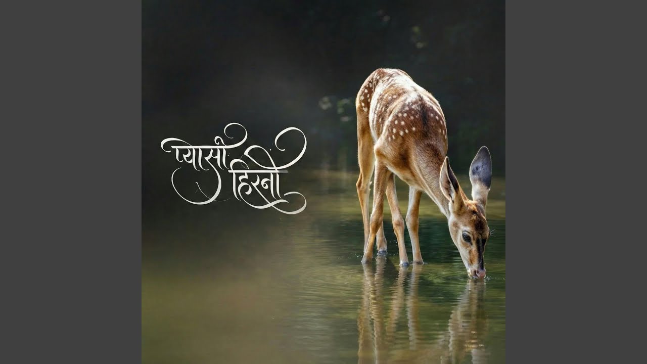प्यासी हिरनी जैसा (feat. Chrisweh Music)