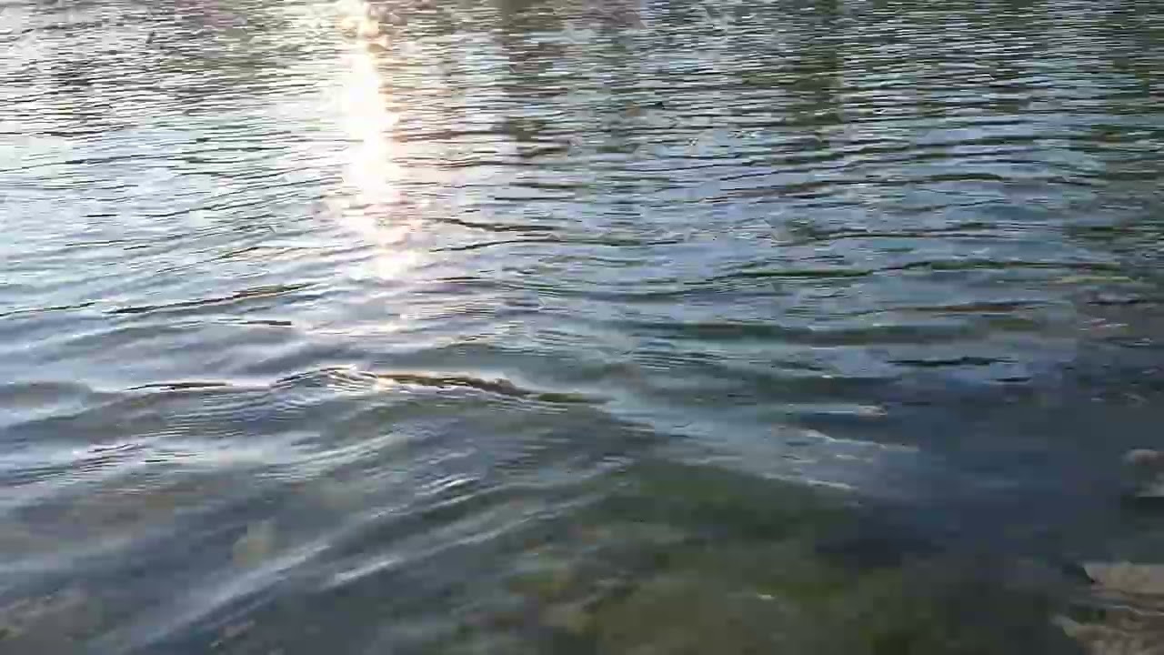 Reflections in Flow
