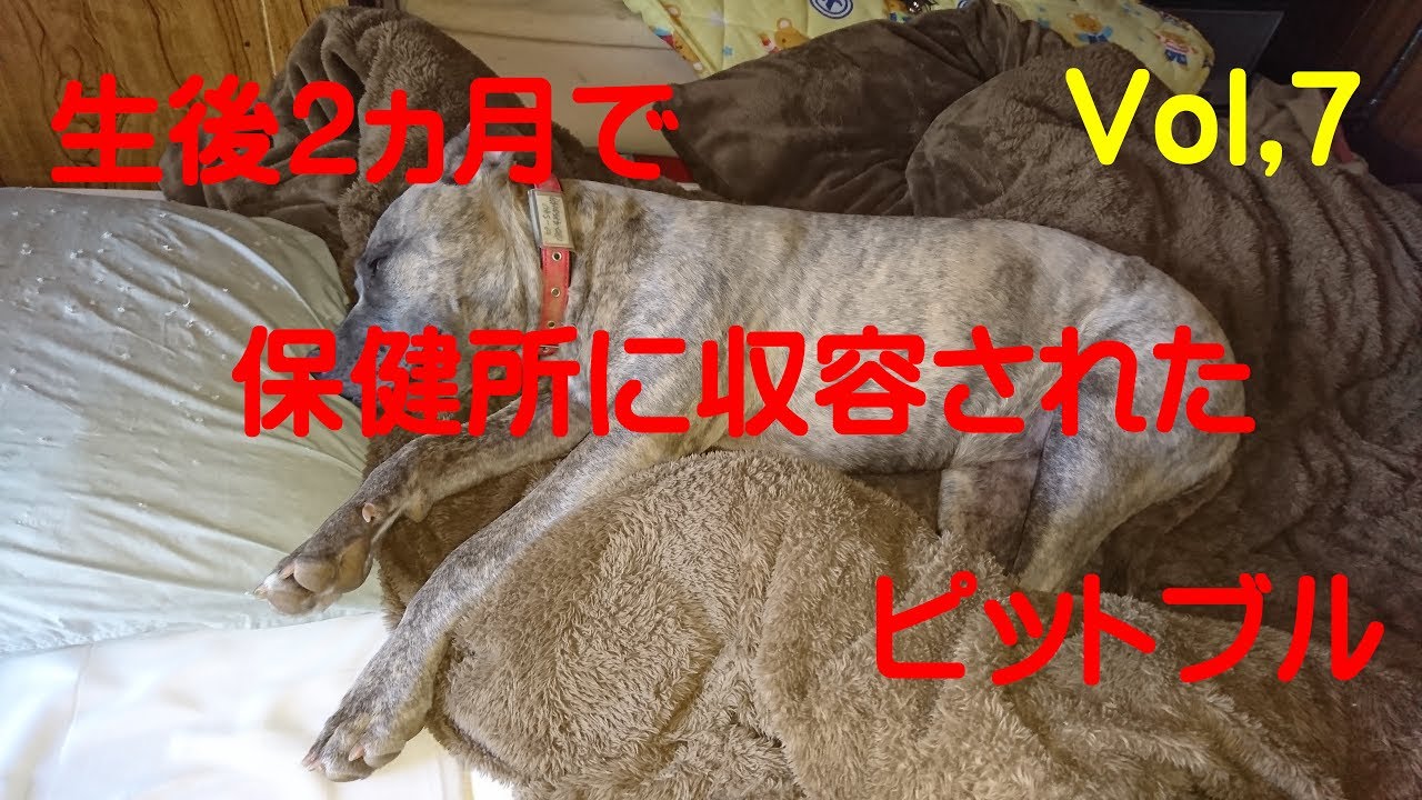 ワサビ&ピーちゃん2