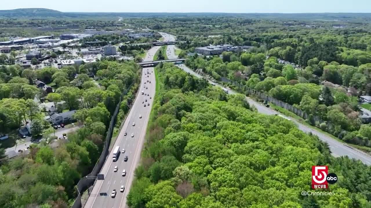 Dedham's quirky history: a horse thief society and a forest in the highway