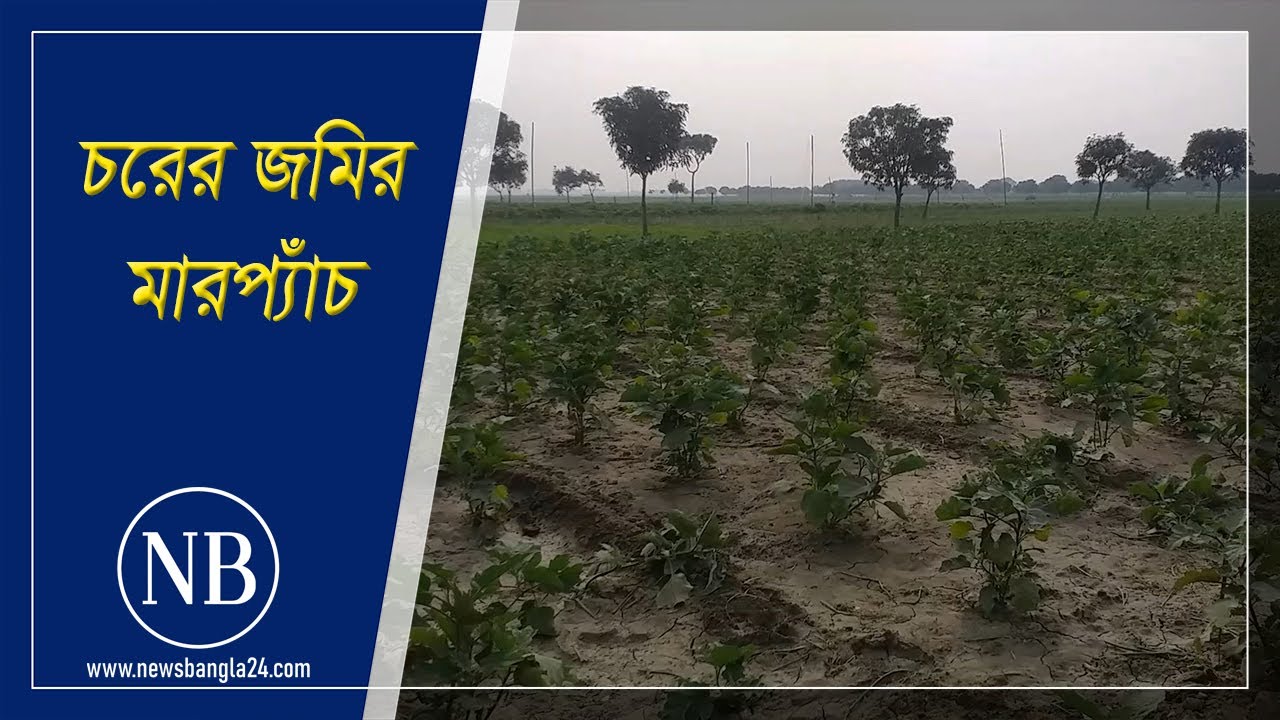 আইনের মারপ্যাঁচে চরের জমির মালিকানা | Chapainawabganj | Char Land
