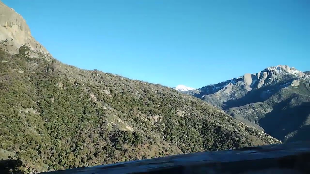 1/13　セコイア国立公園 4 / Sequoia national park 4 
