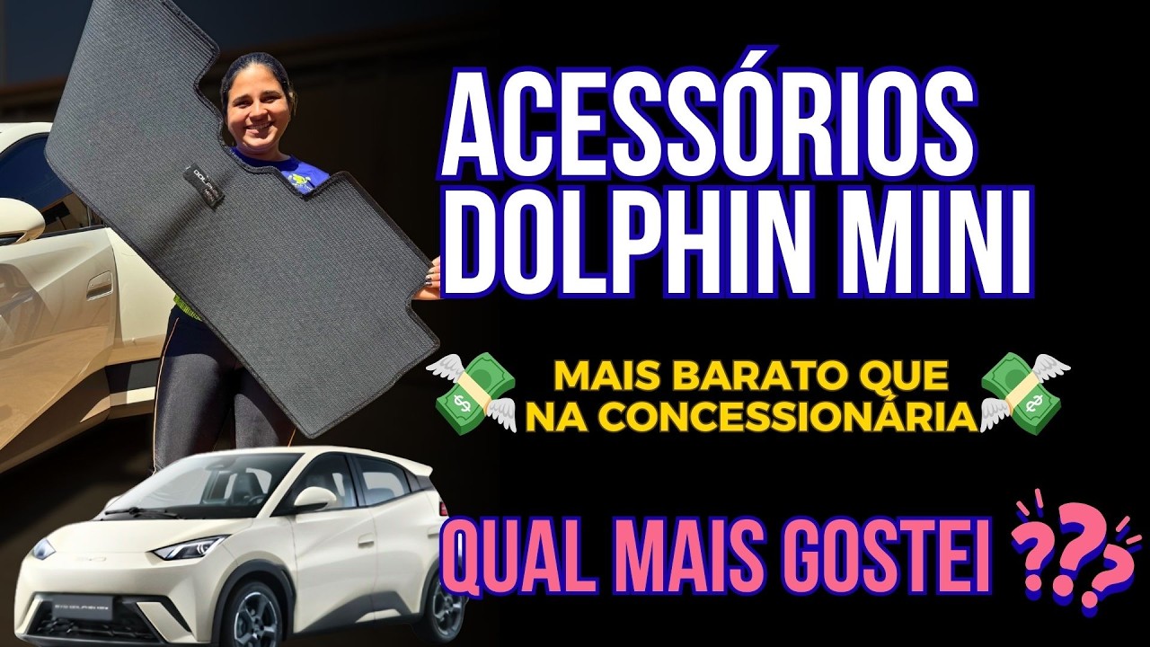 Personalizei meu BYD Dolphin Mini. Acessórios úteis com preço e links