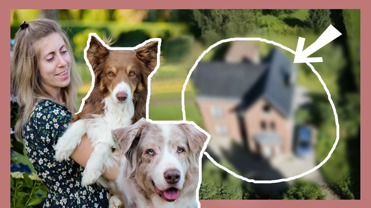 JE DÉMÉNAGE AVEC MES CHIENS (J'ai acheté la maison de mes rêves!)
