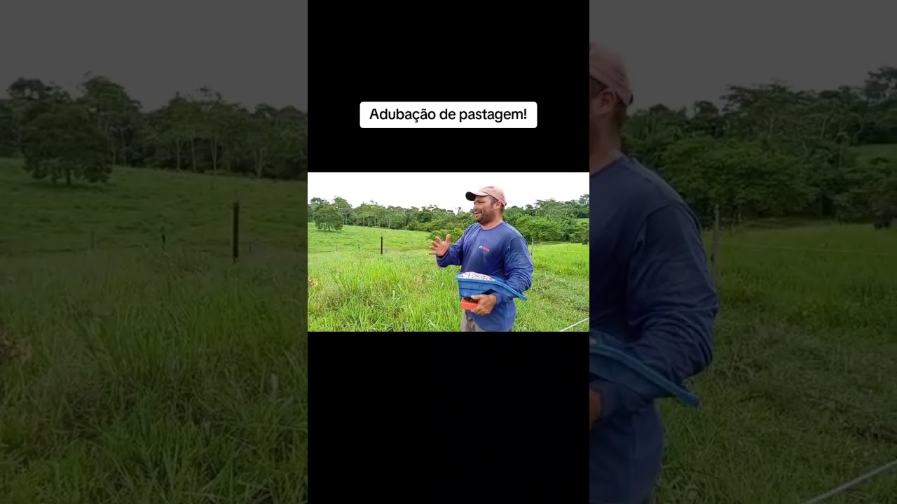 Adubação dos piquetes rotacionado!