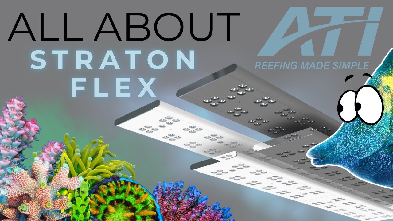 ATI Straton Flex Review | Everything You Need to Know