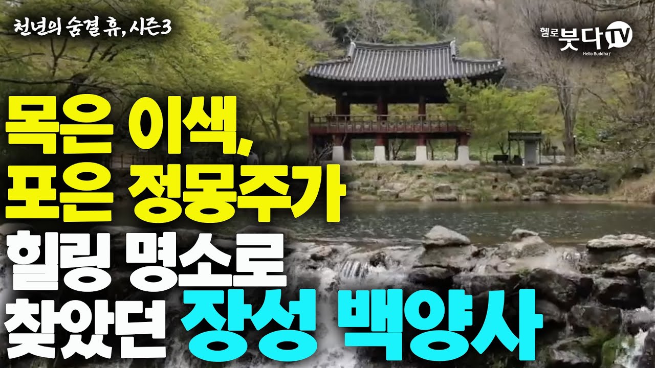 목은 이색 포은 정몽주가 힐링 명소로 찾았던 장성 백양사 | 천년의 숨결 휴 29 | 전설 설화 이야기 문화 역사 사찰 여행 불교 암자 노년여행 혼자여행 가족여행 템플스테이