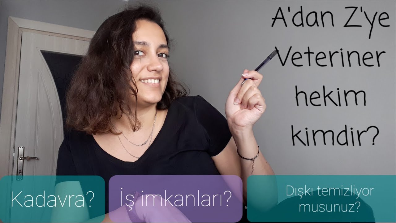 VETERİNER HEKİM KİMDİR? MERAK EDİLEN HER ŞEY! Maaşları ne kadar? Tıp mı zor veterinerlik mi?
