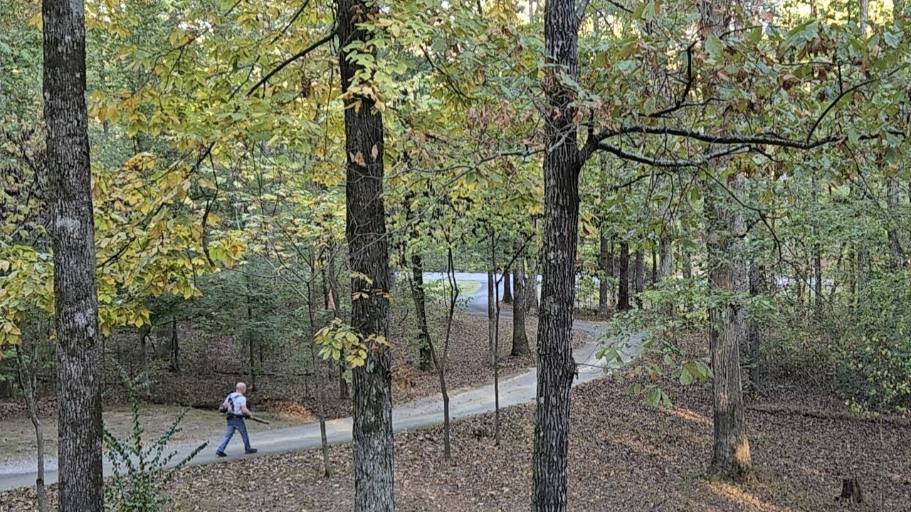 1 Hour of Distant Leaf Blowing – Autumn ASMR Ambience 🍂