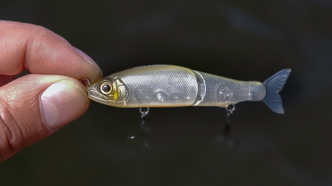 Bass Fishing With World's Smallest Glidebait Swimbait ! (Gan Craft Jointed Claw 70)