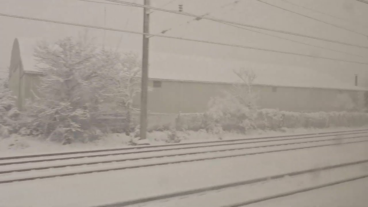 Amtrak Northeast Regional 