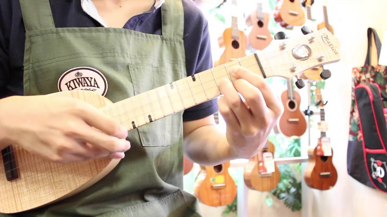 Kiwaya 商品紹介 